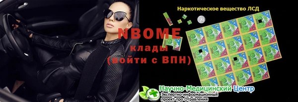 ГАЛЛЮЦИНОГЕННЫЕ ГРИБЫ Аркадак